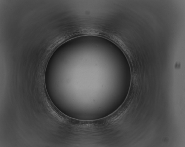 X0000091660433200708301442