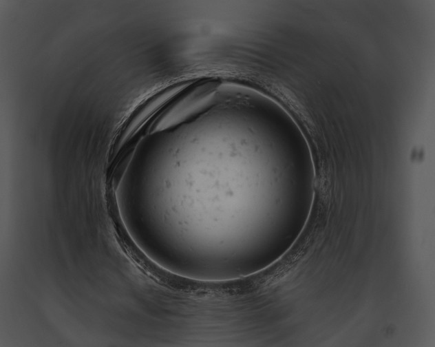 X0000091660434200708301442