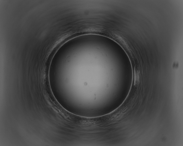 X0000091660435200708301442