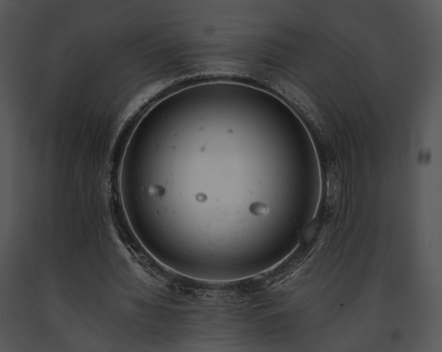X0000091660436200708301442