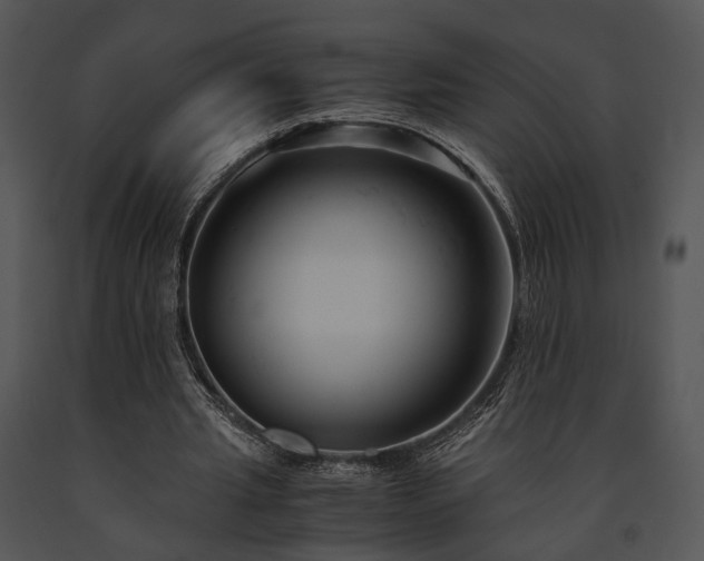 X0000091660437200708301442