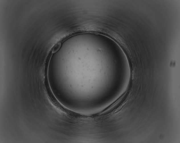 X0000091660438200708301442