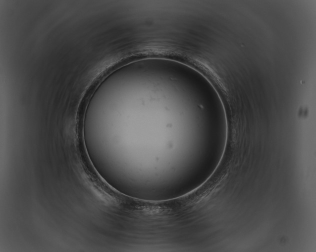 X0000091660439200708301442