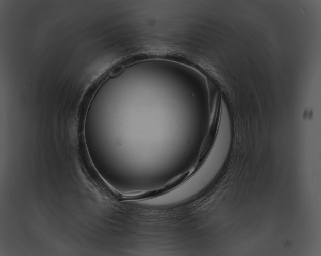 X0000091660440200708301442