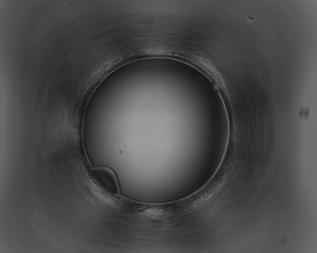 X0000091660441200708301442