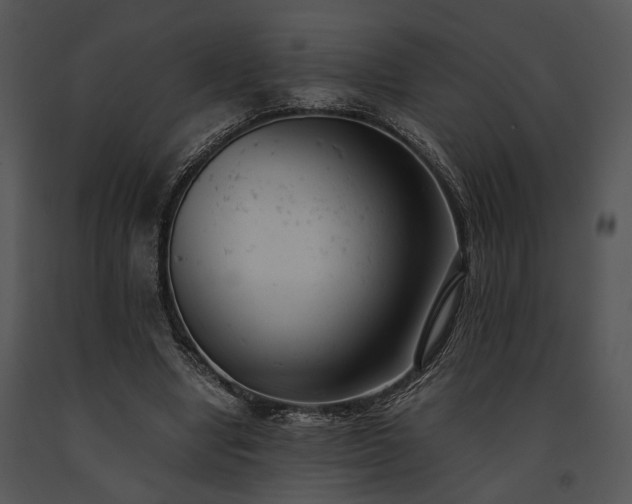 X0000091660442200708301442