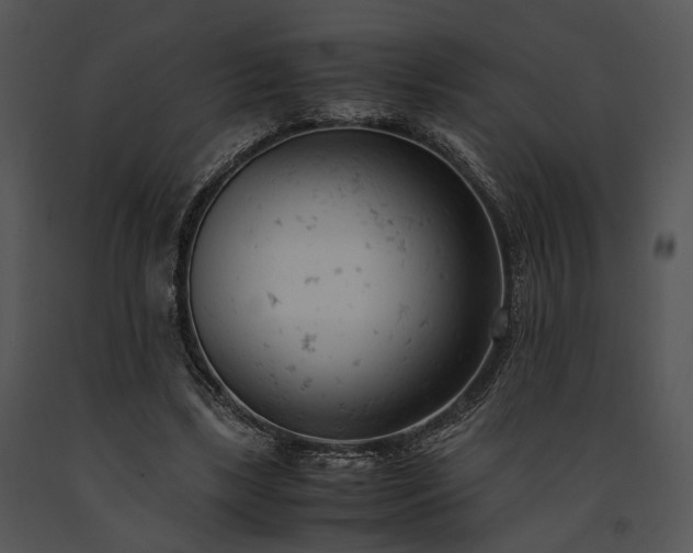 X0000091660443200708301442