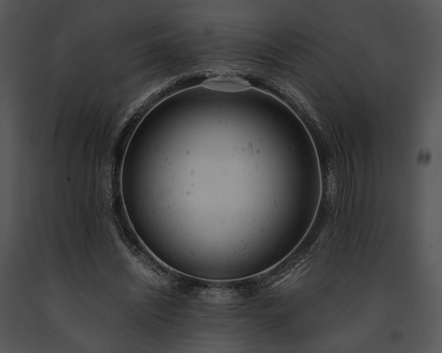 X0000091660444200708301442