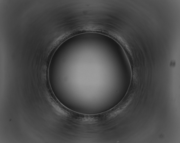 X0000091660445200708301442