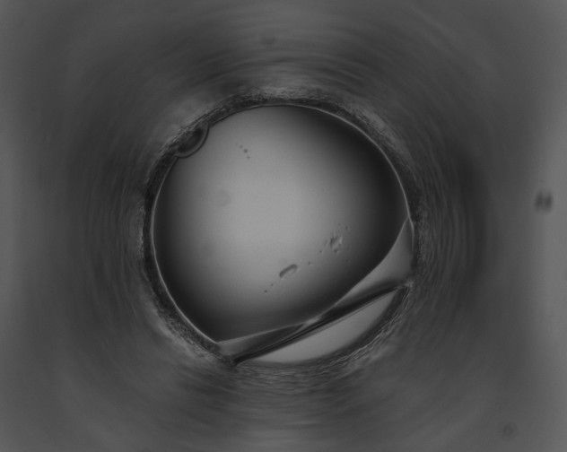 X0000091660446200708301442
