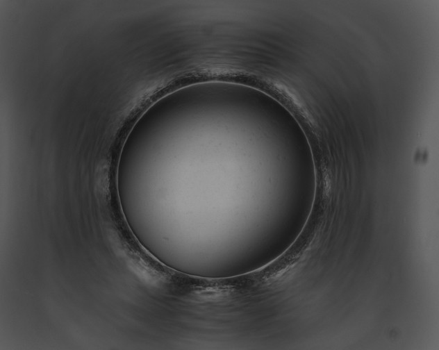 X0000091660447200708301442