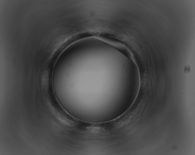 X0000091660448200708301442