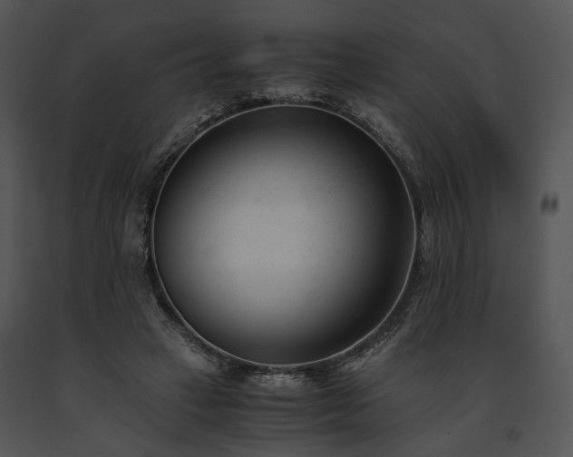 X0000091660449200708301442