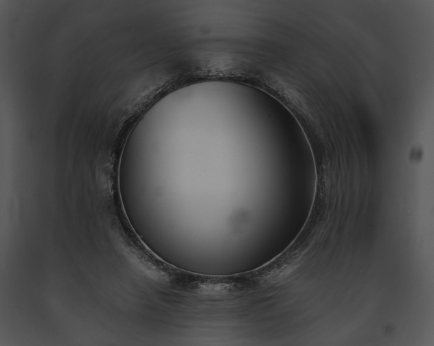 X0000091660450200708301442