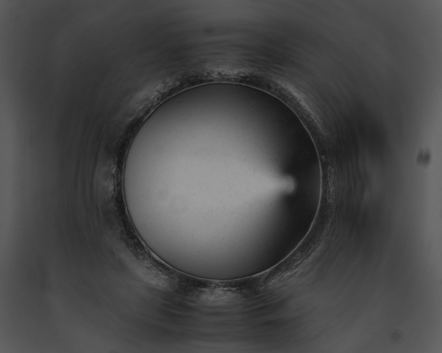 X0000091660451200708301442