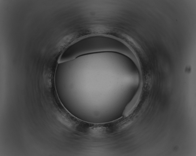 X0000091660452200708301442