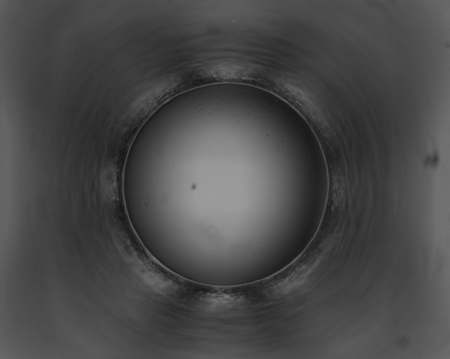 X0000091660453200708301442