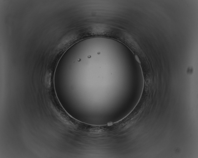 X0000091660454200708301442