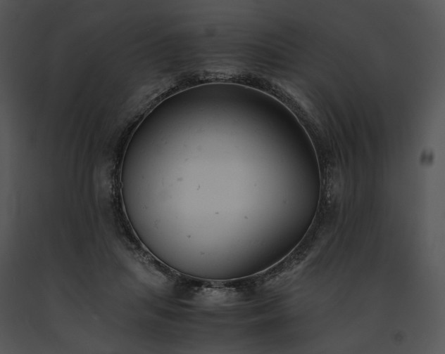 X0000091660455200708301442