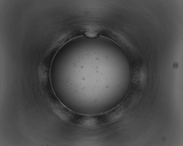 X0000091660456200708301442