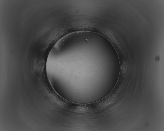 X0000091660458200708301442