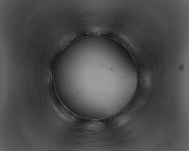 X0000091660459200708301442