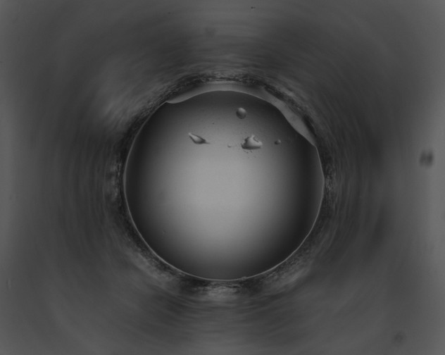 X0000091660462200708301442
