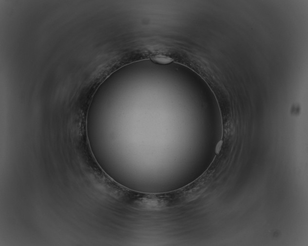 X0000091660464200708301442