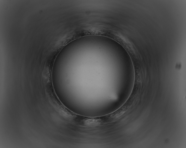 X0000091660465200708301442