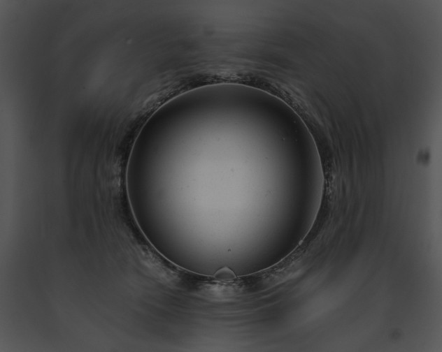 X0000091660466200708301442