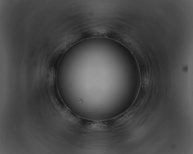X0000091660468200708301442
