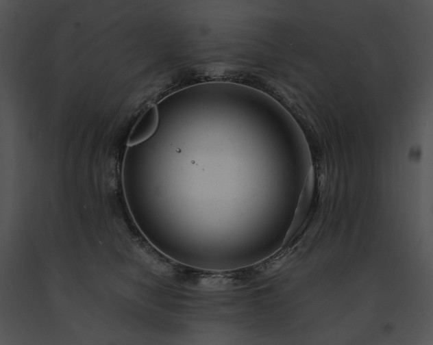 X0000091660470200708301442