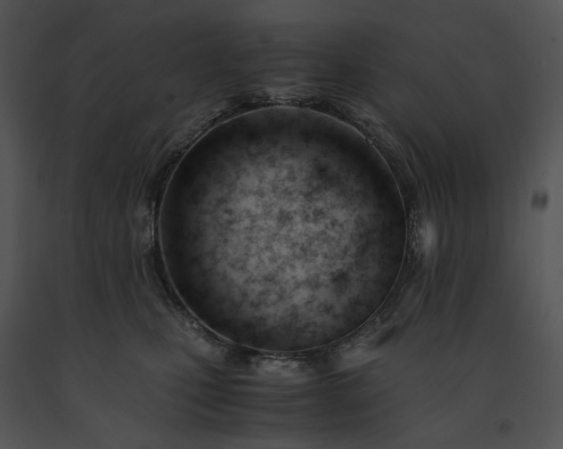 X0000091660471200708301442