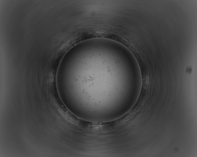 X0000091660472200708301442