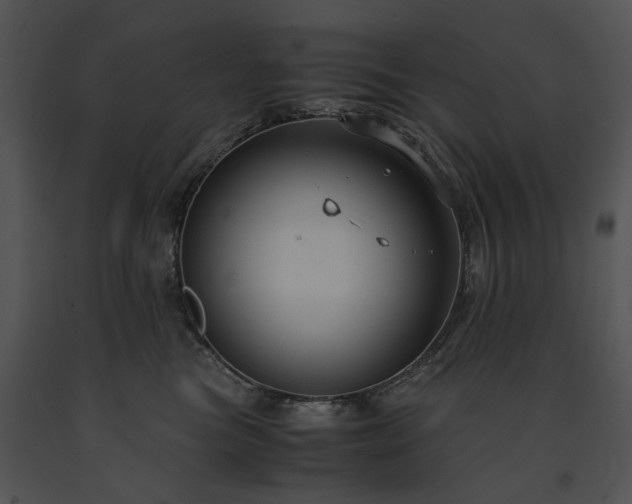 X0000091660473200708301442