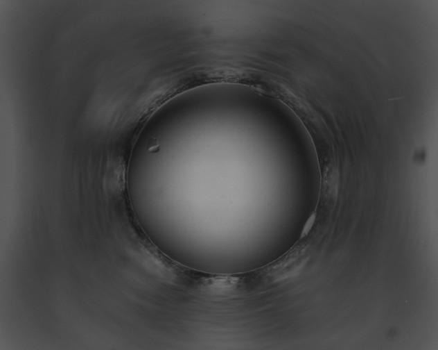 X0000091660474200708301442
