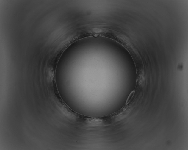 X0000091660476200708301442