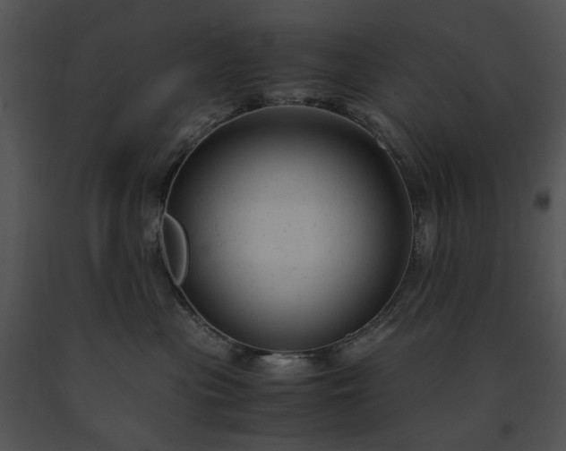 X0000091660477200708301442