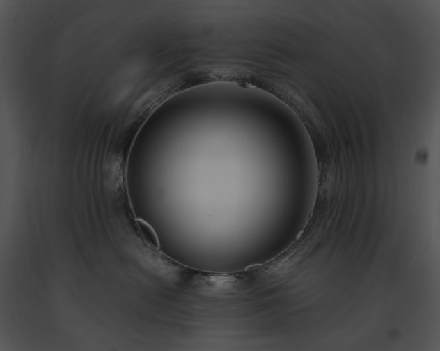 X0000091660478200708301442