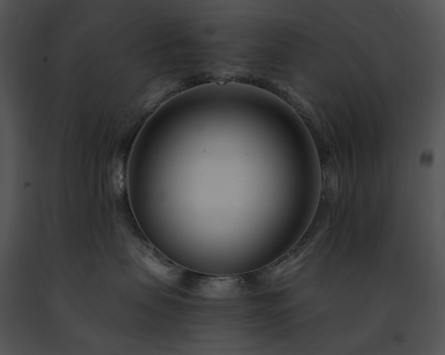 X0000091660479200708301442
