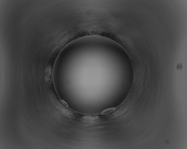 X0000091660480200708301442
