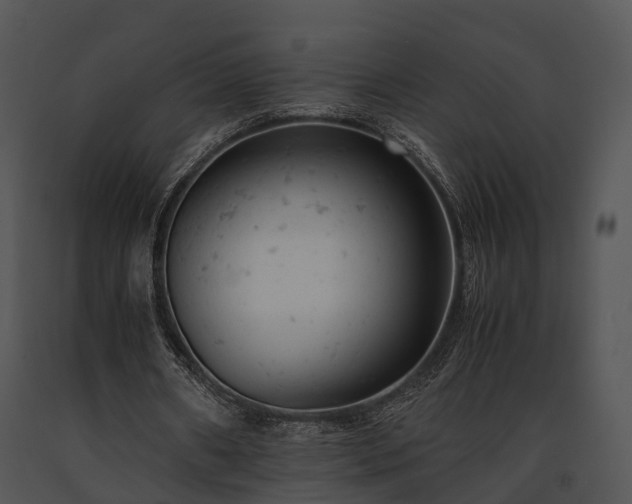 X0000091660482200708301442