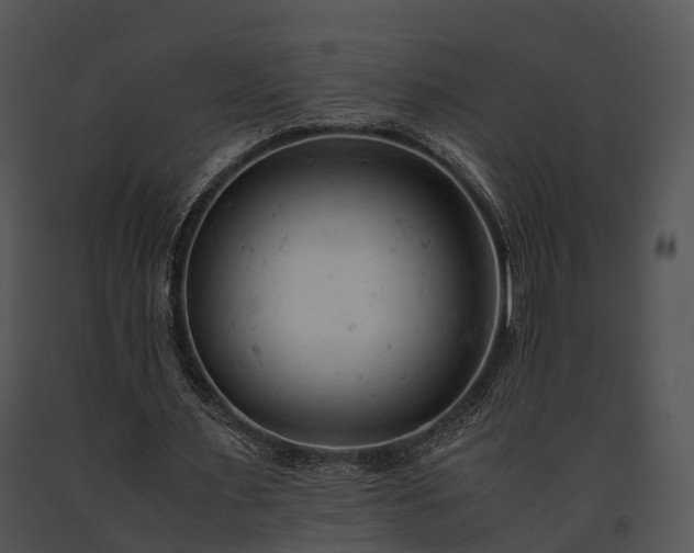 X0000091660483200708301442