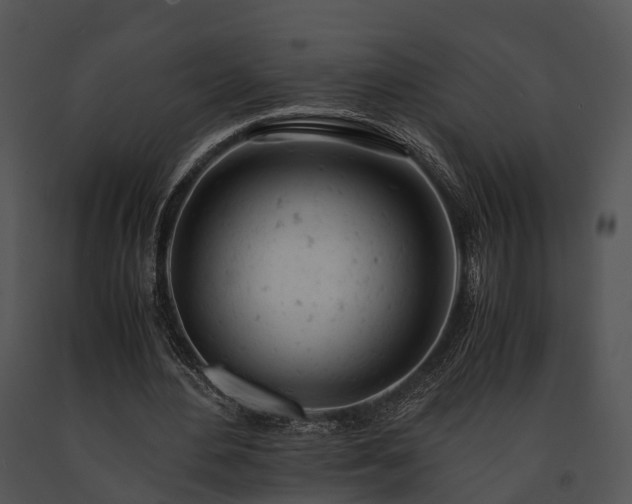 X0000091660484200708301442