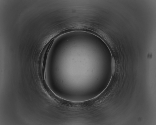X0000091660485200708301442