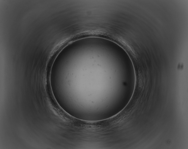 X0000091660486200708301442