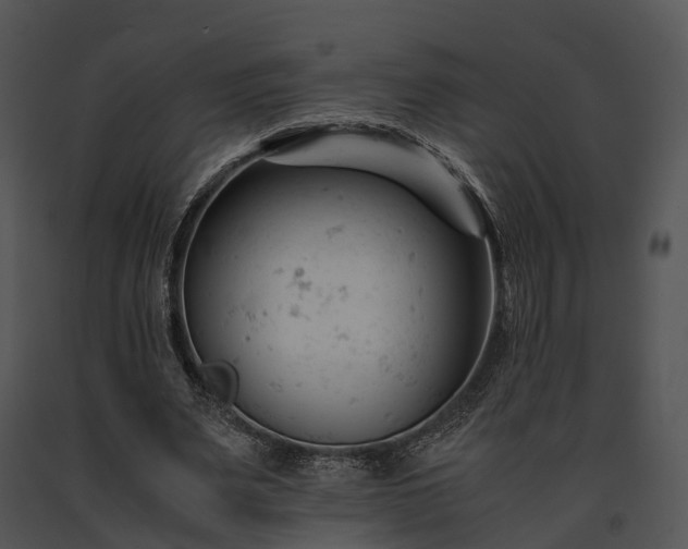 X0000091660487200708301442