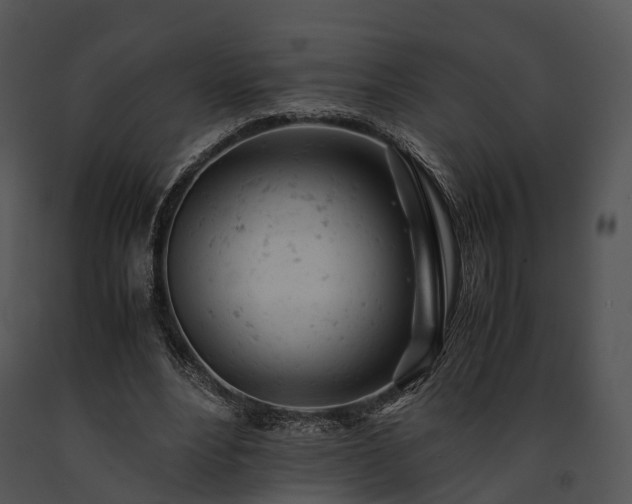 X0000091660488200708301441