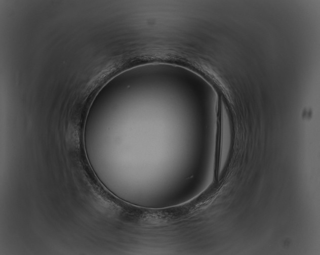X0000091660489200708301441