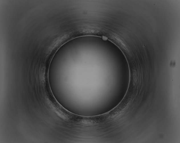 X0000091660490200708301441